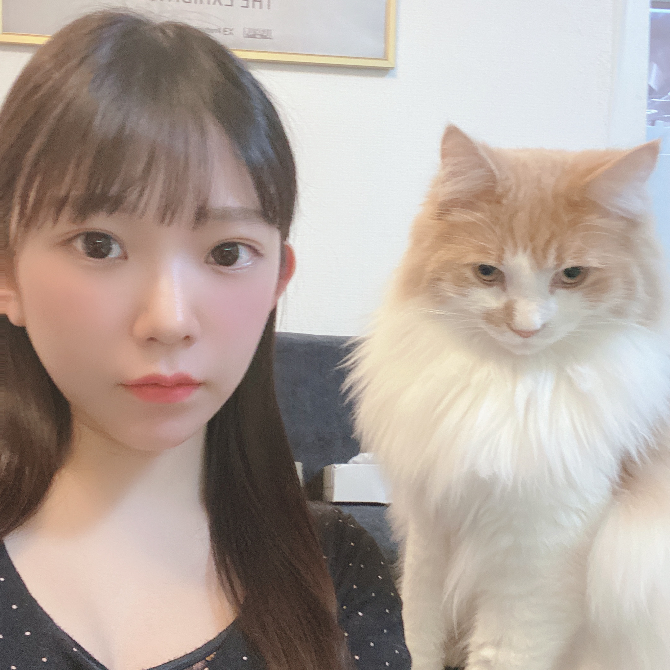 長澤茉里奈(まりちゅう)(長澤茉里奈)【チェキチャ！】タレントとの特典